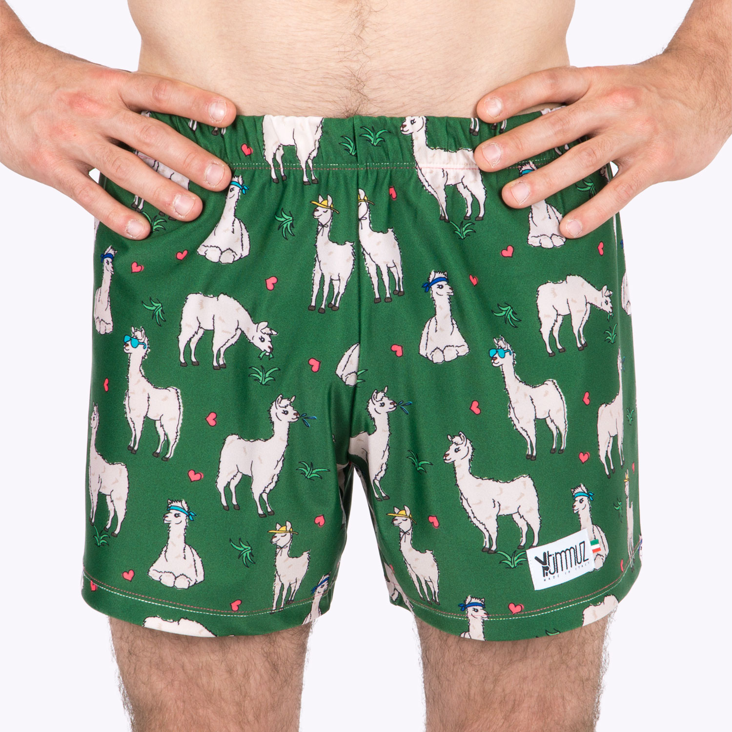 Llama Shorts - Timmuz Clothing